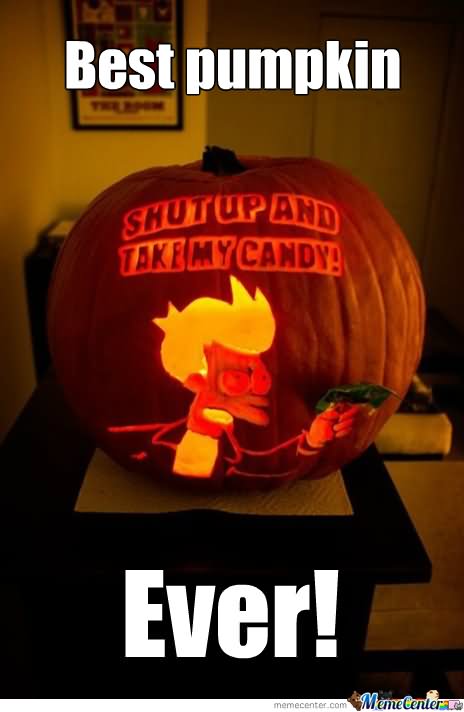 Funny Pumpkin Meme Best Pumpkin Ever Image