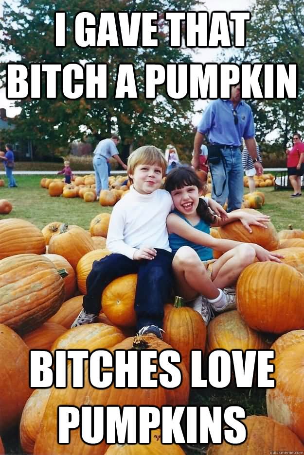 Funny Pumpkin Meme I Gave That Bitch A Pumpkin Bitches Love Pumpkins Picture