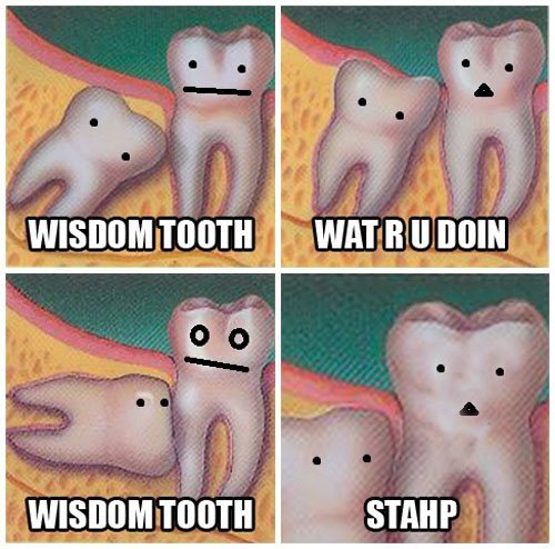 Funny Wisdom Tooth Image