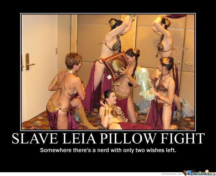 Funny Women Pillow Fight Meme Poster Image