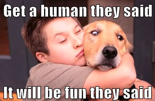 Get A Human They Said It Will Be Fun They Said Funny Dog Meme Picture