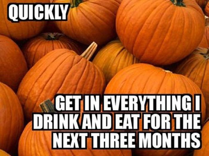 Get In Everything I Drink And Eat For The Next Three Months Funny Pumpkin Meme Image