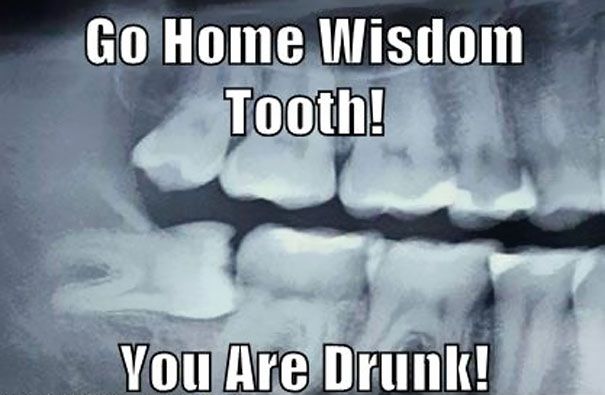 Go Home Wisdom Tooth You Are Drunk Funny Teeth Meme Picture