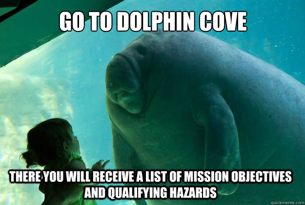 Go To Dolphin Cove There You Will Receive A List Of Mission Objectives And Qualifying Hazards Funny Dolphin Meme Image