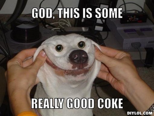 God This Is Some Really Good Coke Funny Dog Meme Image