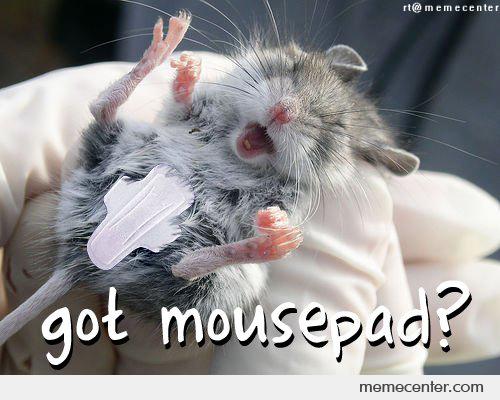 Got Mousepad Funny Mouse Meme Picture