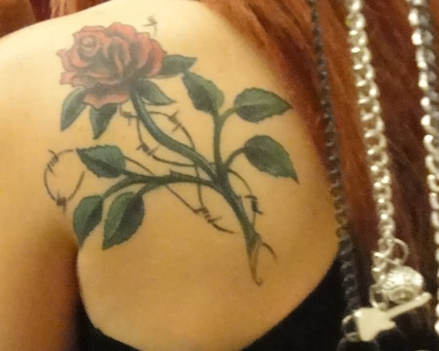 Gothic Rose Tattoo On Girl Left Back Shoulder By Nitsa