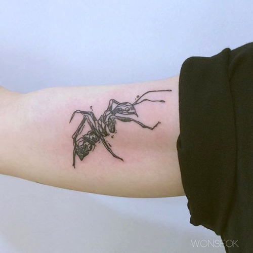 Grey Ink Ant Tattoo On Bicep