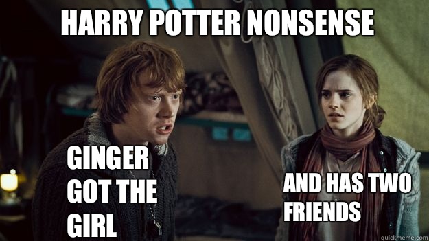 Harry Potter Nonsense Ginger Got The Girl And Has Two Friends Funny Nonsense Meme Image