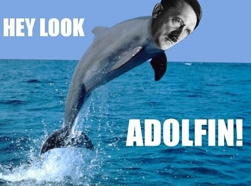 Hey Look Adolfin Funny Dolphin Meme Image