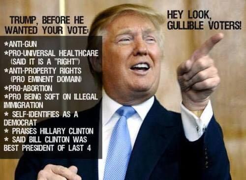 Hey Look Gullible Voters Funny Donald Trump Image