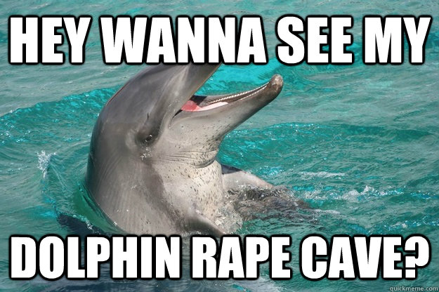 Hey Wanna See My Dolphin Rape Cave Funny Dolphin Meme Image