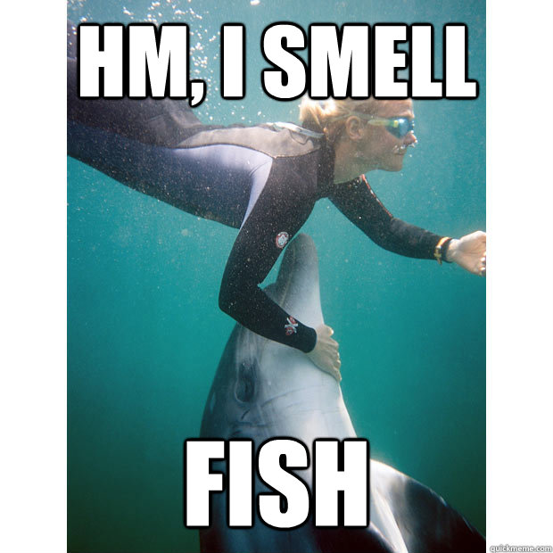 Hm I Smell Fish Funny Dolphin Meme Image