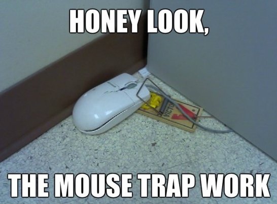 Honey Look The Mouse Trap Work Funny Mouse Meme Image