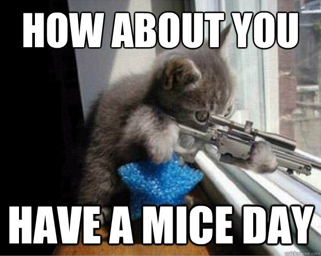 How About You Have Mice Day Funny Mouse Meme Image