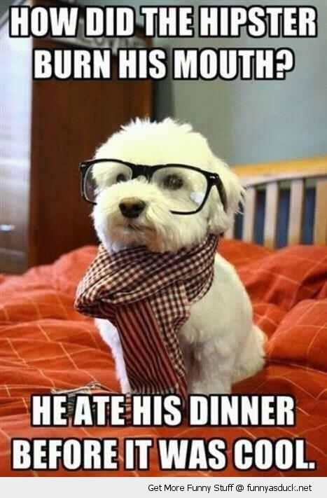 How Did The Hipster Burn His Mouth He Ate His Dinner Before It Was Cool Funny Mouth Meme Image