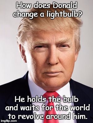 How Does Donald Change A Lightbulb Funny Meme Image