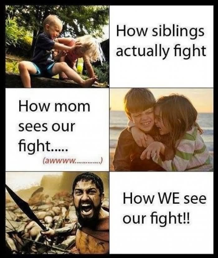 How Siblings Actually Fight Funny Fight Meme Image