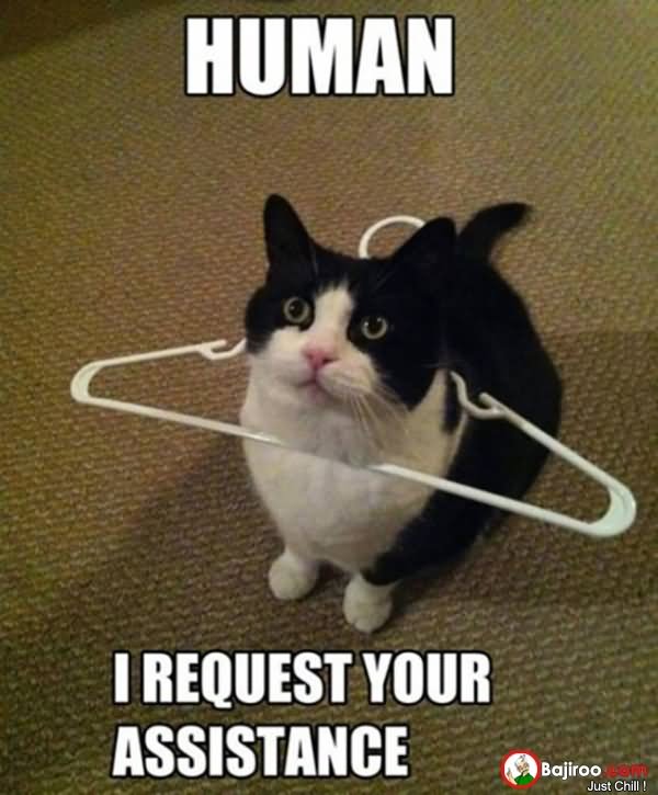 Human I Request Your Assistance Funny Internet Meme Picture