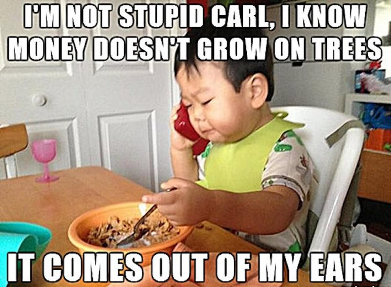 I Am Not Stupid Carl I Know Money Doesn't Grow On Trees Funny Baby Face Meme Image