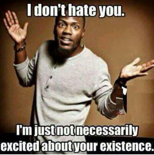 I Don't Hate You I Am Just Not Necessarily Excited About Your Existence Funny People Meme Image