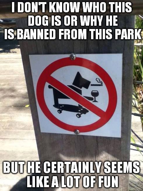 I Don't Know Who This Dog Is Or Why He Is Banned From This Park Funny Skateboarding Meme Image
