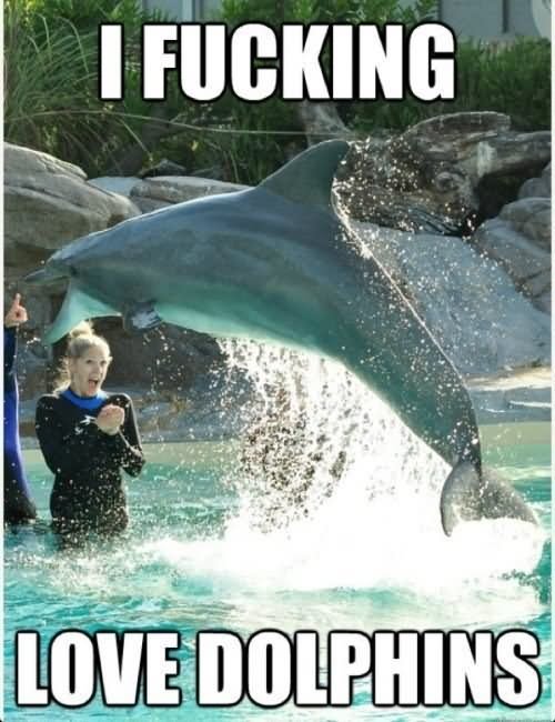 I Fucking Love Dolphins Funny Meme Picture