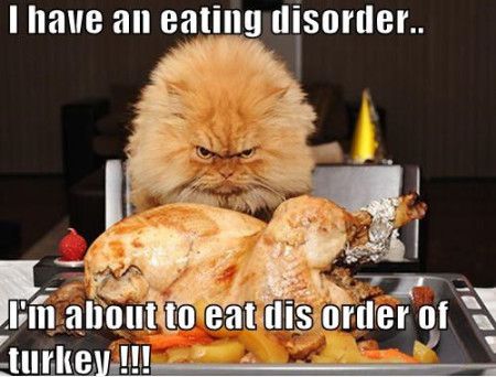 I Have An Eating Disorder I Am About To Eat Dis Order Of Turkey Funny Eating Meme Image