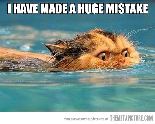 I Have Made A Huge Mistake Funny Swimming Meme Image
