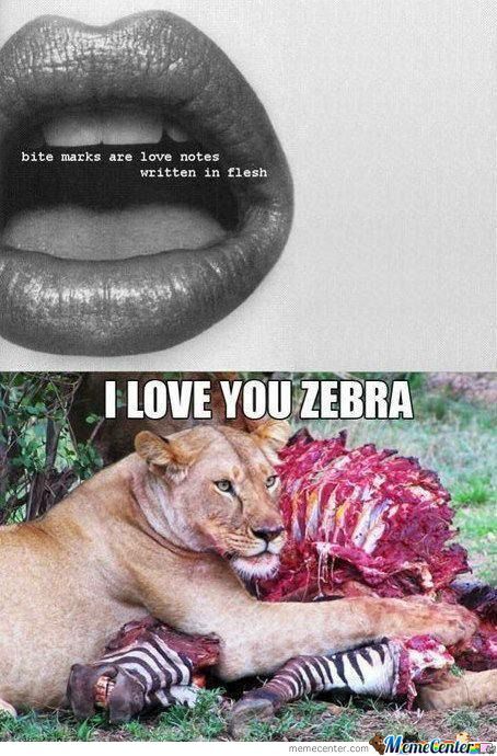 I Love You Zebra Funny Love Meme