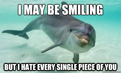 I May Be Smiling But I Hate Every Single Piece Of You Funny Dolphin Meme Image