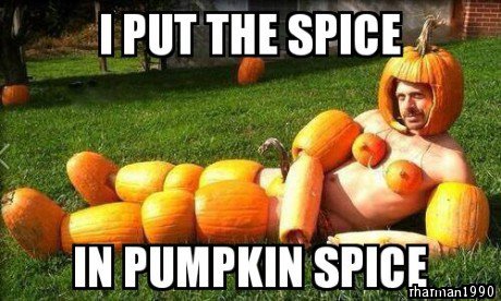 I Put The Spice In Pumpkin Spice Funny Pumpkin Meme Picture