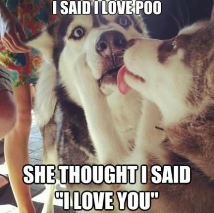 I Said I Love Poo She Thought I Said I Love You Funny Love Meme Picture