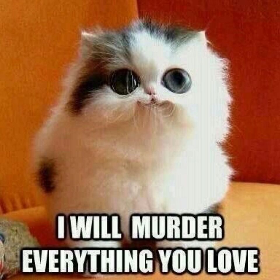 I Will Murder Everything You Love Funny Love Meme Picture