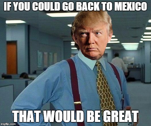 If You Could Go Back To Mexico That Would Be Great Funny Donald Trump Meme Image