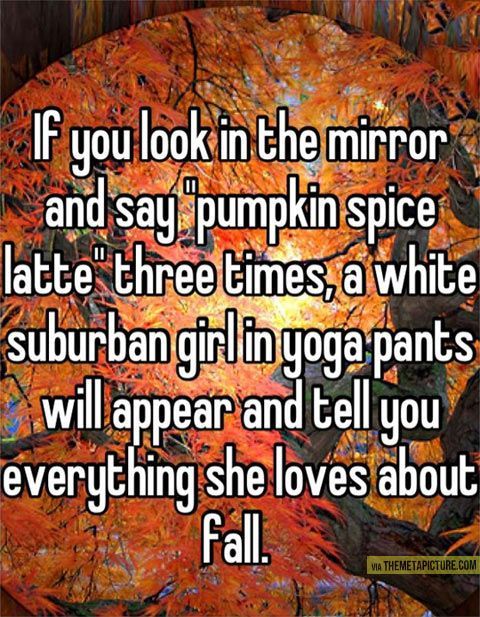 If You Look In The Mirror And Say Pumpkin Spice Latte Funny Pumpkin Meme Picture