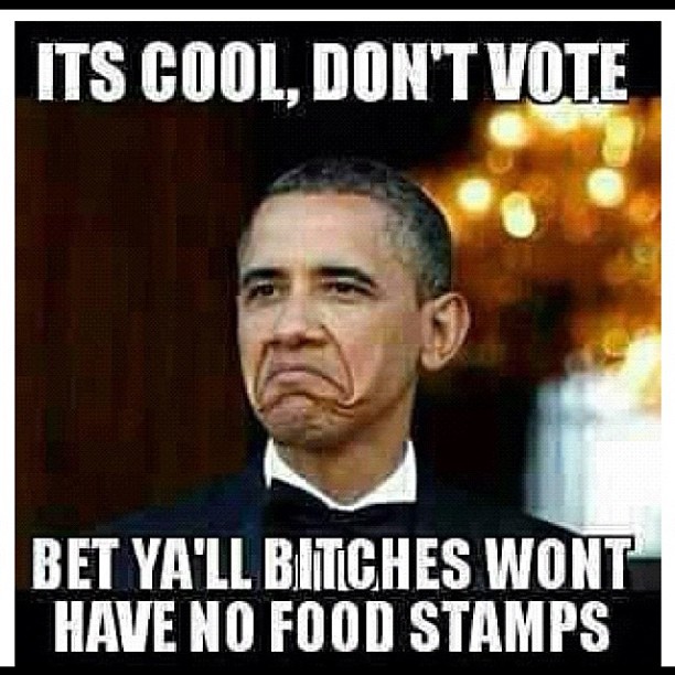 Its Cool Don't Vote Bet Ya'll Bitches Wont Have No Food Stamps Funny Political Meme Image