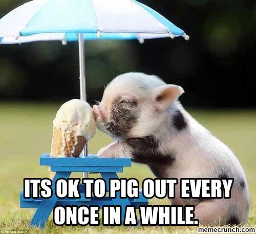 Its Ok To Pig Out Every Once In A While Funny Eating Meme Image