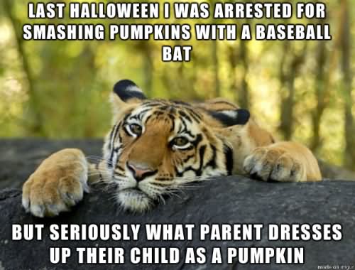 Last Halloween I Was Arrested For Smashing Pumpkins With A Baseball Bat Funny Pumpkin Meme Image