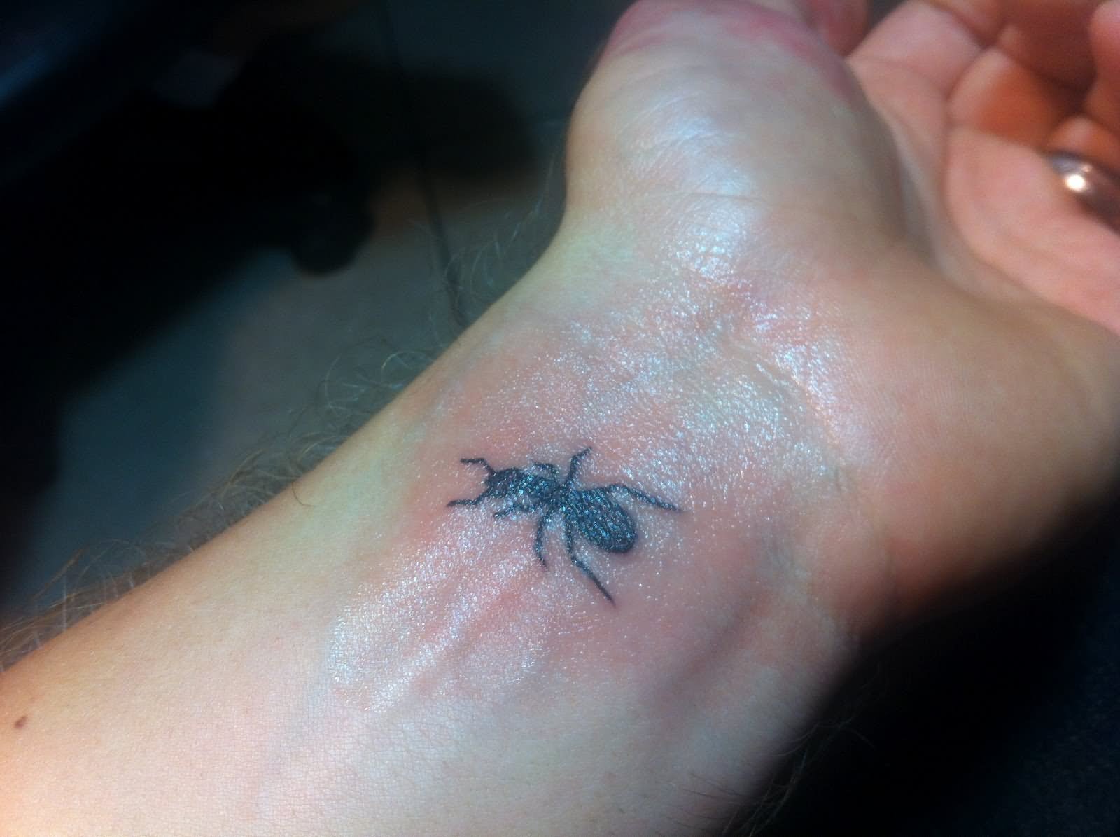 Left Wrist Ant Tattoo For Men