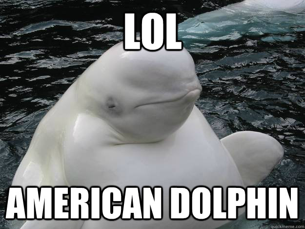 Lol American Dolphin Funny Dolphin Meme Image