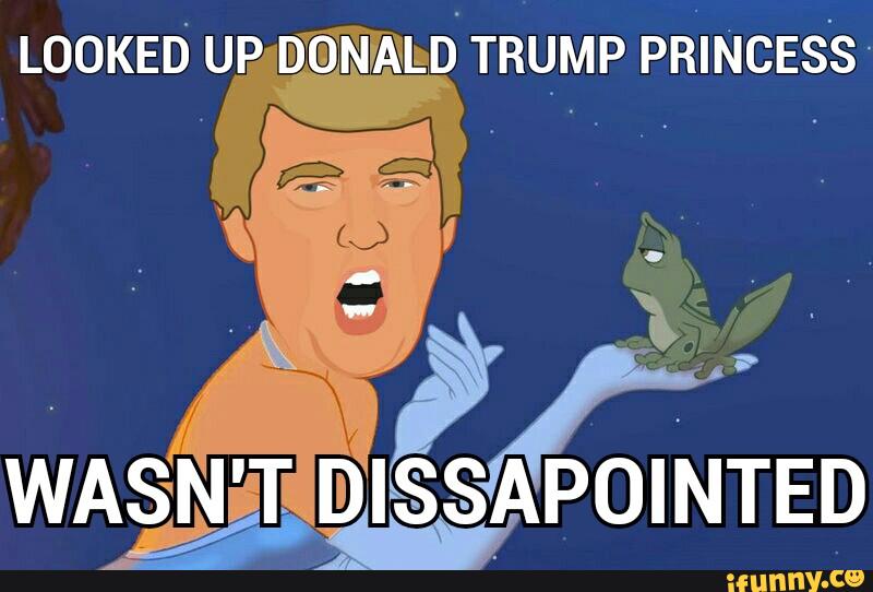 Looked Up Donald Trump Princess Wasn't Disappointed Funny Meme Image