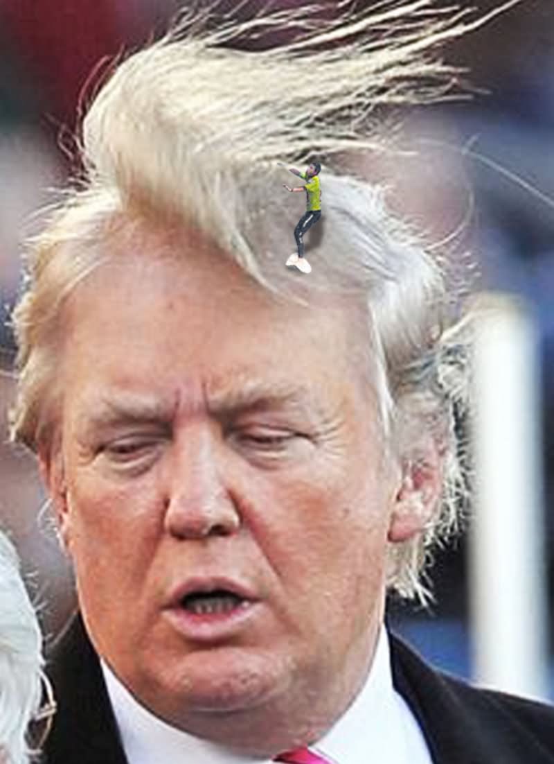 Man Surfing With Donald Trump Hair Very Funny Photoshop Picture For Whatsapp