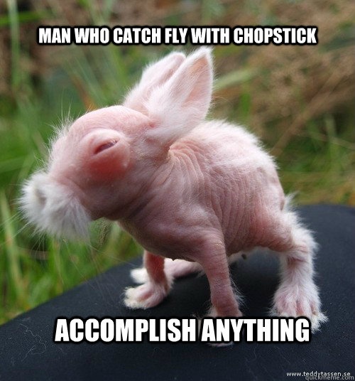 Man Who Catch Fly With Chopstick Accomplish Anything Funny Bunny Meme Image