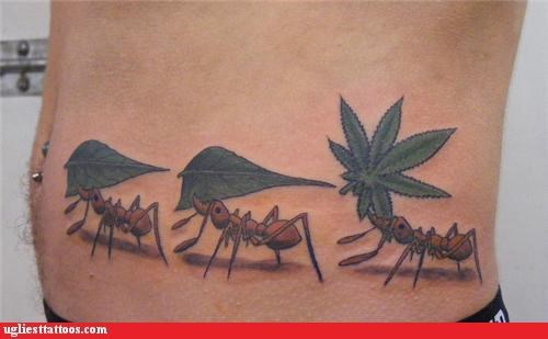 Marijuana Leafs Ant Tattoo On Side Rib