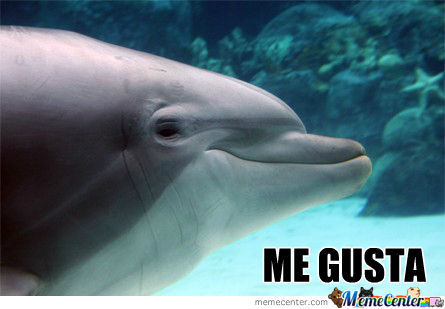 Me Gusta Funny Dolphin Meme Image