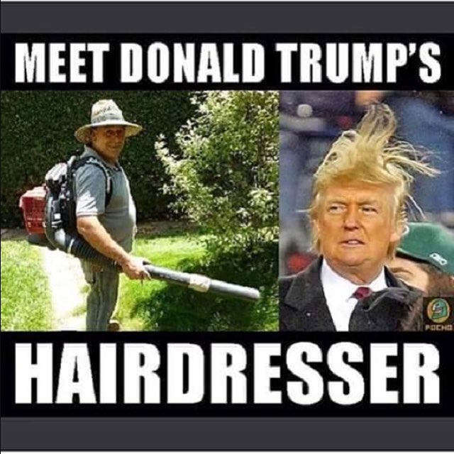 Meet Donald Trump's Hairdresser Funny Donald Trump Picture