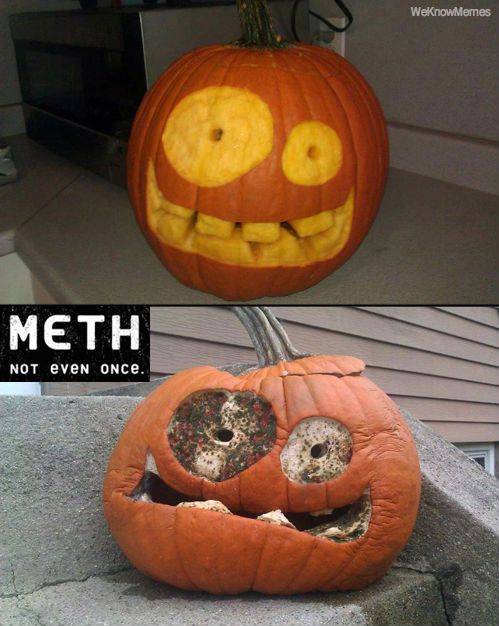 Meth Not Even Once Funny Pumpkin Meme Picture