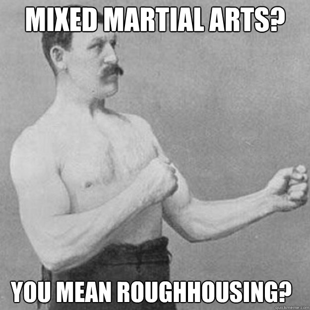 Mixed Martial Arts You Mean Roughhousing Funny Karate Meme Picture
