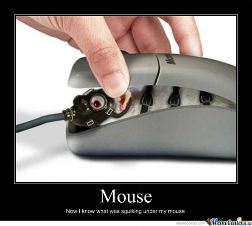 Mouse Now I Know What Was Squiking Under My Mouse Funny Meme Picture